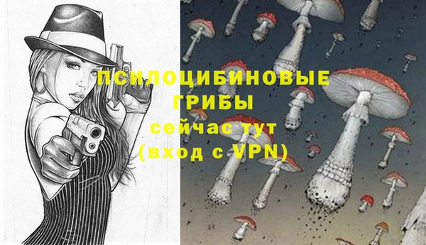 альфа пвп Медвежьегорск
