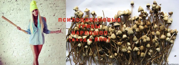 дурь Мегион