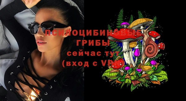 альфа пвп Медвежьегорск