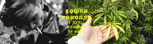 дурь Мегион