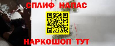 прущие грибы Берёзовский