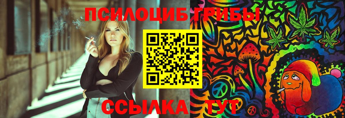 Псилоцибиновые грибы GOLDEN TEACHER  Зима 