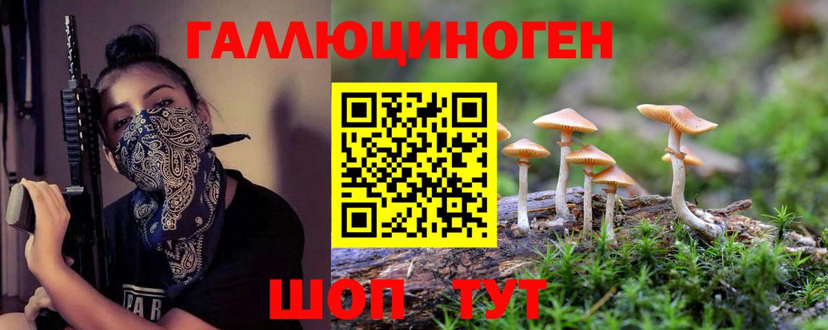 Галлюциногенные грибы мицелий Зима