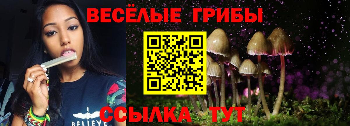 Псилоцибиновые грибы ЛСД  Вход с VPN  Зима  Псилоцибиновые грибы Cubensis 