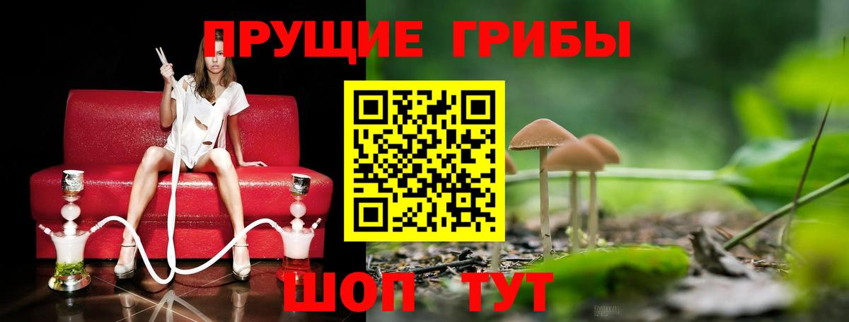 Псилоцибиновые грибы MAGIC MUSHROOMS Зима